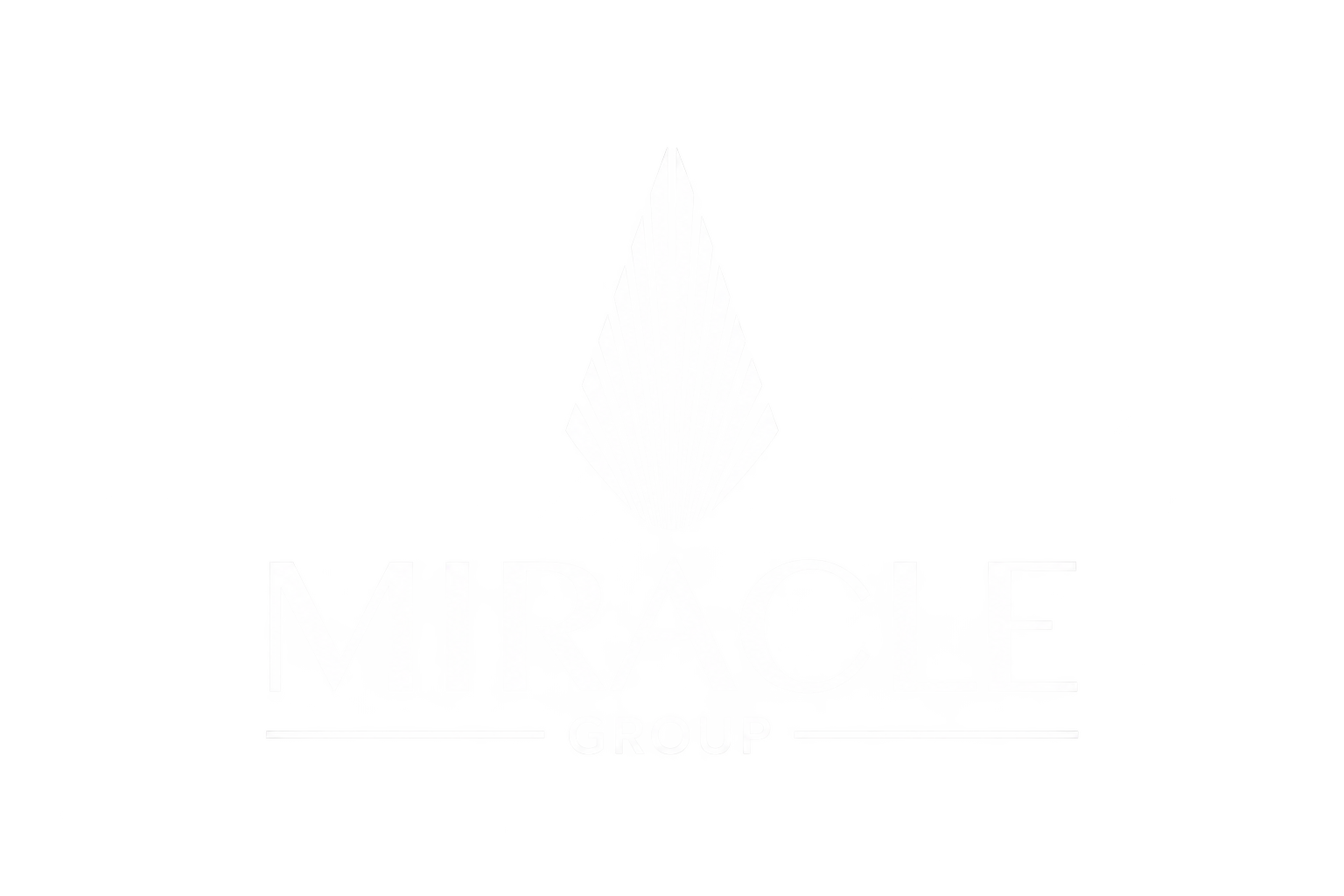 Miracle Group, WEB Miracle Group, WEB