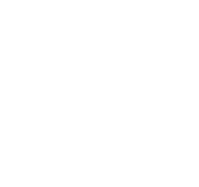 Miracle Group, WEB